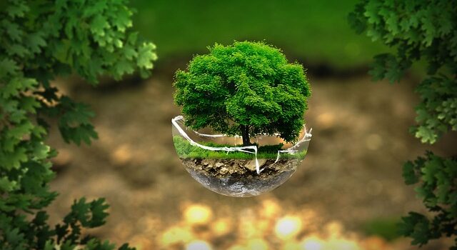 BPJEPS « Éducation à l’Environnement vers un Développement Durable » BPJEPS « Éducation à l’Environnement vers un Développement Durable »
